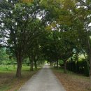 나주홍어 이미지