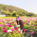 삼오행정사사무소 네이버블로그
