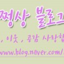 쩡Nail