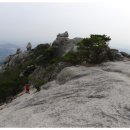 비봉하우스 이미지