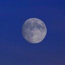 사임당로8길 16 이미지