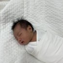 가회중학교 | [출산일기-18일차] 진주 참조은산후조리원 일반실 후기/조리원생활 13일차