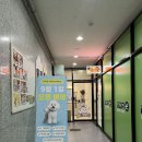 부여군보건소(건강재활센터) | 안산강아지수중재활ㅣ멍쓰홀릭웰니스센터ㅣ재활후기