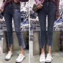 SHC 이미지
