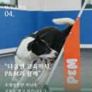 피앤엠 반려견교육센터 대전점 네이버블로그