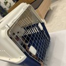 한강켄넬 이미지