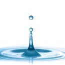 강화군산림조합 이미지