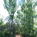 자연체험학습장 화장실 이미지