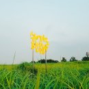 하늘풍경 이미지