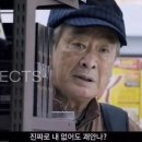 꽃피는청춘