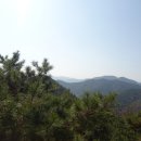 주산봉(356m).연산(354m).깃대봉(386m).옥녀봉(426m).벌통산(684m).턱(텃)가리봉( 391m)/전북순창 이미지