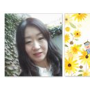 강선숙 카카오 검색결과