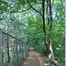 새솔학교 이미지