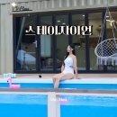 스테이 자이언 이미지