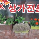 주황공인중개사사무소 이미지