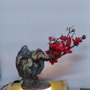 애니원플러스 이미지