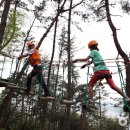 맹종죽테마공원 이미지