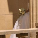 NEXT. SOFT | w6: 아이폰 스냅 소프트보울(soft bowl) 계약 후기ღ