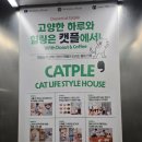 행복한휴식 | 행복한휴식 고양이카페 캣플헤븐 앨리웨이 광교점 다녀온 후기