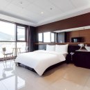 브라운도트 이미지