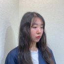 플러터헤어
