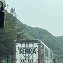 단양마늘핫도그 | 국내 힐링 여행 추천 🌳 단양 1박 2일 알찬 코스 (도담삼봉, 구인사, 구경시장 먹거리, 만천하스카이워크...