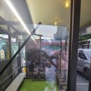 (주)애드미러 | 대장 ■달서구 진천동 맛집 식당이백도씨 쏠라필름(썬팅지) 골드 시트컷팅 미러아크릴 시공후기(애드쿱)