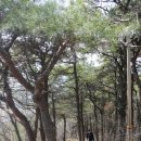 완산-154 Daum카페
