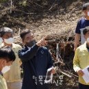 벌채임업