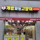 애견용품 할인매장 네이버블로그