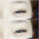 수상한속눈썹
