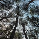 강릉명륜고등학교 | [강릉 일주일 살기] 강릉향교, 화부산 산림욕장, 안목 해변, 안목 여행자 센터