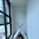 오밀쪼밀
