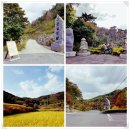 고운힐링팜 이미지