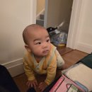 천사몬테소리어린이집 | 12개월아기랑 해외여행 돌아기랑 영국 장거리 비행