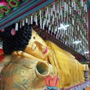 다시또사천 이미지