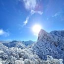 1184차 1월11~12(월,화) 제주도&amp;한라산 신년맞이 눈꽃산행 이미지