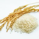 라이스영농조합법인 이미지