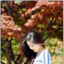 별넷