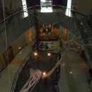 엑스포펜션민박 이미지