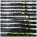 아이언 플렉스(IRON FLEX) 이미지