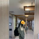 [나홀로 여행] 여자 혼자 떠난 1박2일 경주 겨울여행-황리단길, 소품샵, 월정교, 금청사