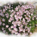 만수농장 이미지