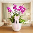 이지플라워 이미지