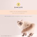 봄나래동물병원 이미지