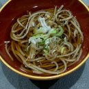 테라스 | 오키나와 태교여행_2 ✈️ : 부세나테라스 리조트 후기 🏝️