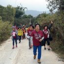 꼬이꼬이 이미지