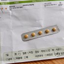 하이펫(개꿈꾸는 고양이) | 임신준비 : 배란초음파 자임 시도 1차 기록 / 배란유도제 페마라, 난포주사 이후 배테기 임테기 배란...