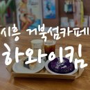 하와이킴웨이브파크