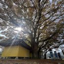 [동락점빵 이동장터 이야기] 11월 6일 운행기록 이미지